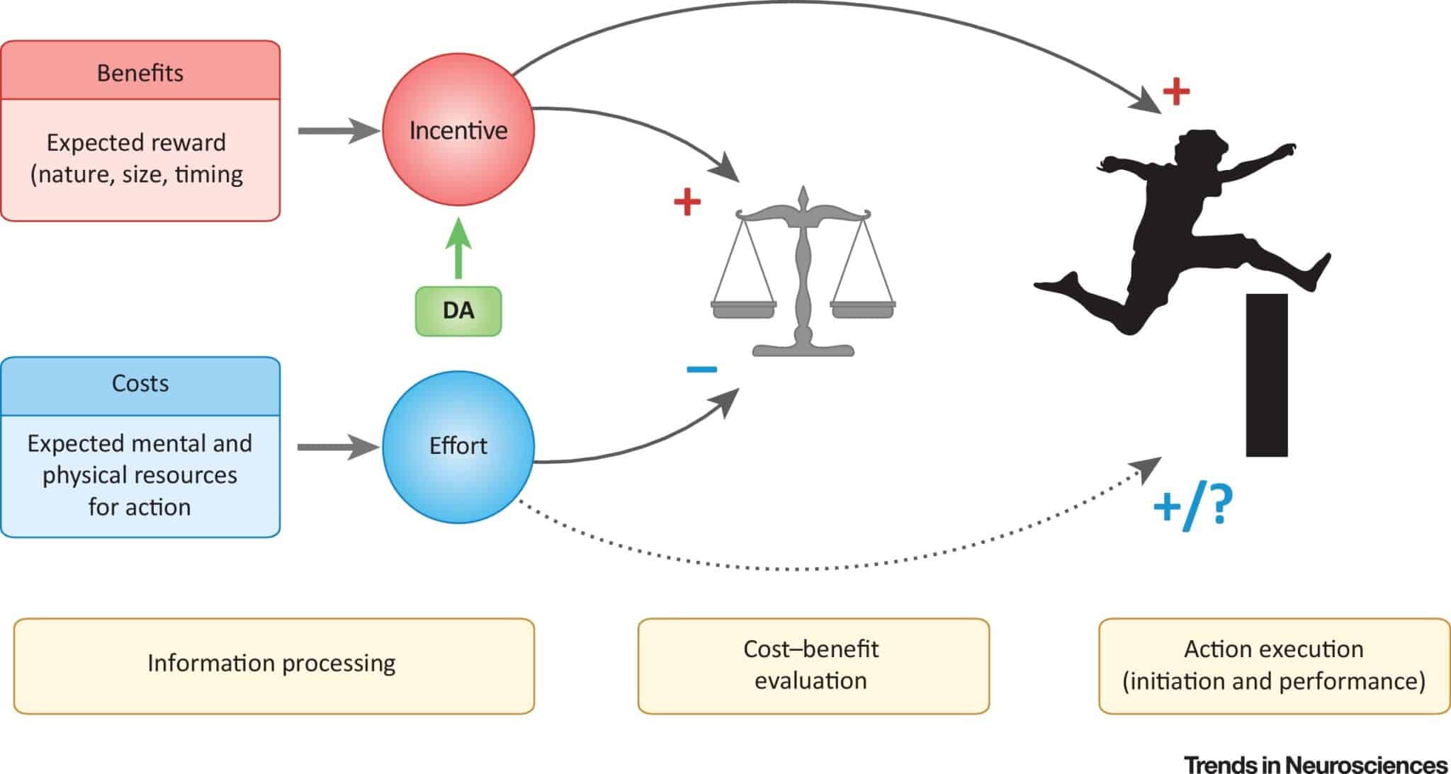 The Psychology of Choice: Why a Diverse Rewards Catalog Boosts Engagement
